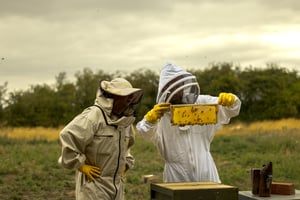 Agroforestry Restoration Project