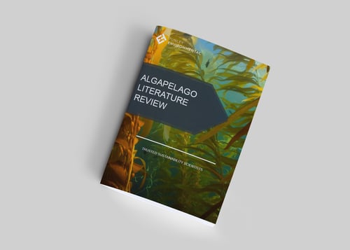 Algapelago Report Cover Image
