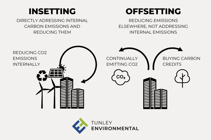 Insetting Vs Offsetting