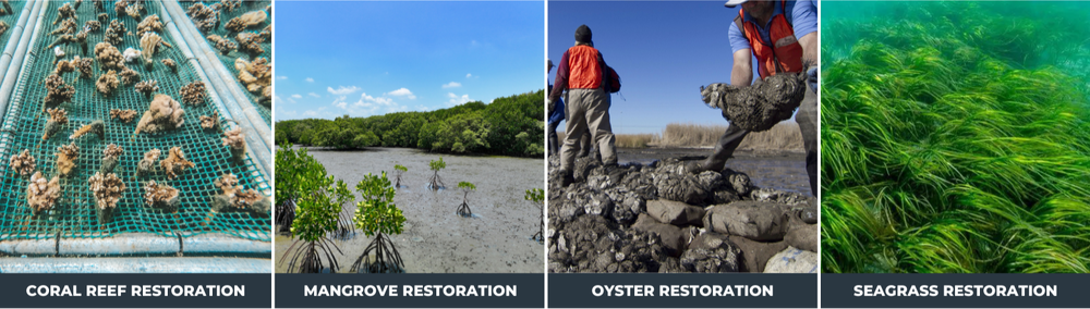 Marine Habitat Restorations-1-1