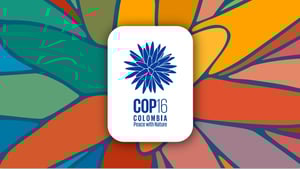 Screenshot_16-10-2024_133945_www.cbd.int