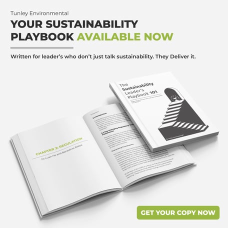 The Sustainability Leaders Playbook 101 - Socials-02