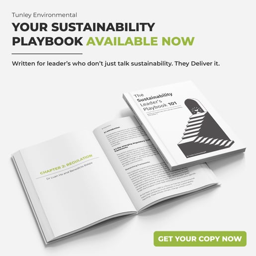 The Sustainability Leaders Playbook 101 - Socials-02