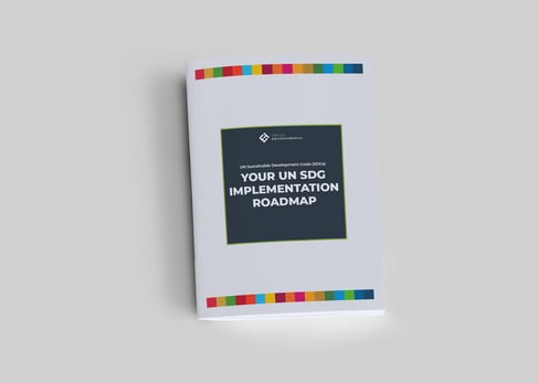 UN SDG Implementation Roadmap cover