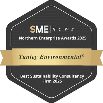 SME news best sustainability consultancy 2025-22