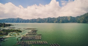 Image1_iStockImage_seaweedfarming