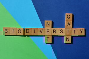 biodiversity-net-gain-regulations