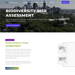BD Assessment