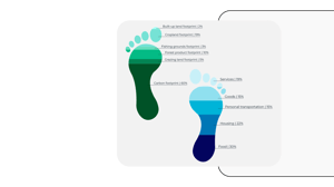 Biodiversity Footprint Mockup