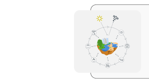 Biodiversity Supply Chain Footprint