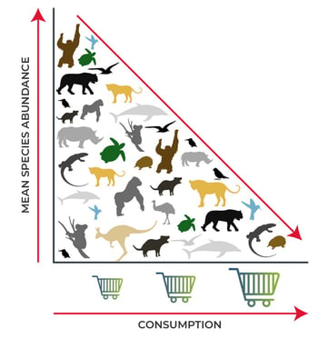 Biodiversity graphics-07