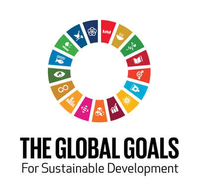 Sustainable Development Goals Image