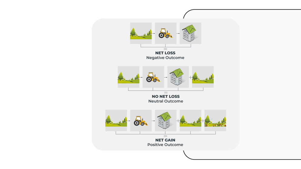 Biodiversity Net Gain