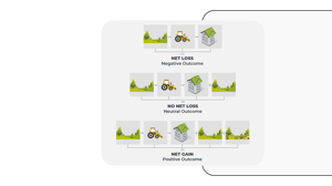 Biodiversity net gain Mockup v2