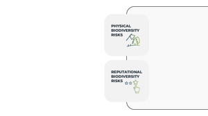 Biodiversity risk filter mockup