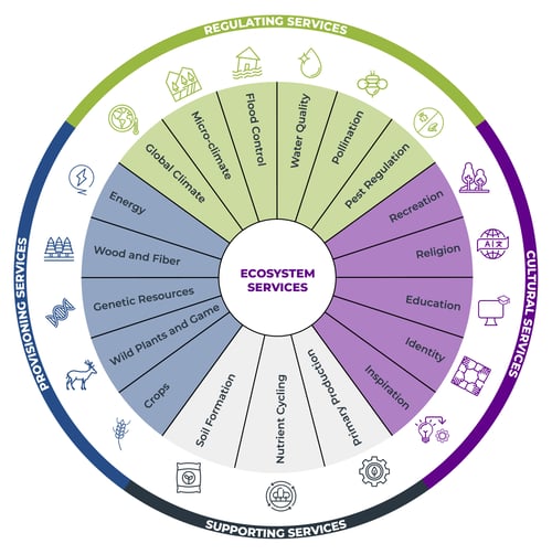 Ecosystem Services