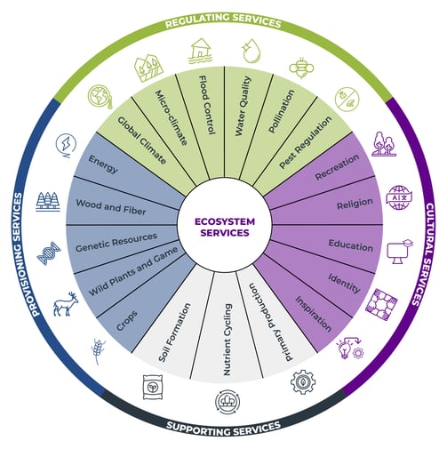 Ecosystem Services