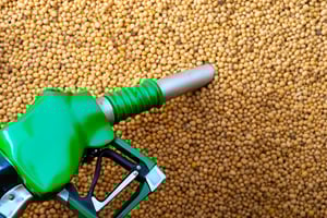 Biodiesel