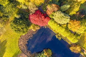 Biodiversit site level advisory remote assessment