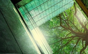 CSRD Consulting Header Image