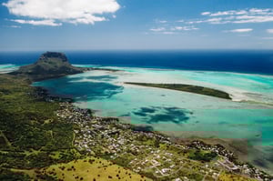 Coral Bleaching In Mauritius - Tunley Environmental