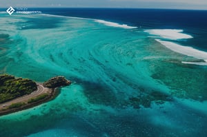 Coral Bleaching in Mauritius - Cover