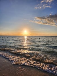 Coral Blog 1