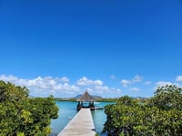 Coral Blog 3