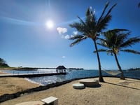 Coral blog 4