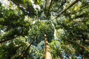 Embracing and maintaining sustainable procurement in 2026