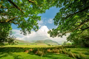 Retainer Page Cover - Tunley Environmental