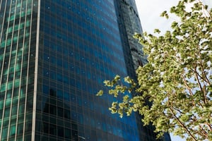 Sustainability Disclosure Requirements