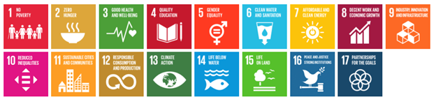 UN SDGs