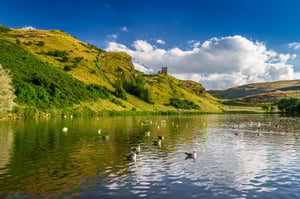 Understanding ISO 17298 Biodiversity Standard