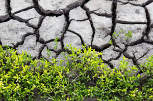 Why is climate risk rising in 2026