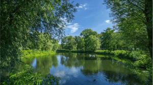 pond after