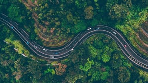 start your journey today to net zero-1
