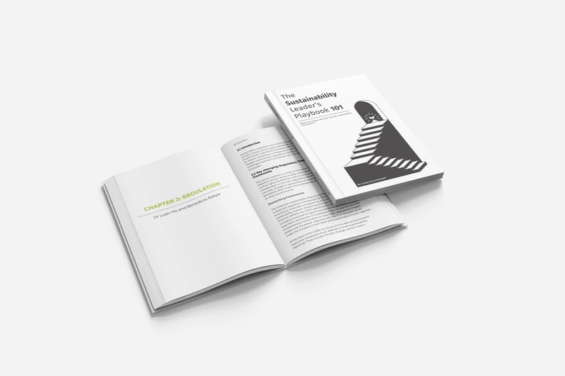 Sustainability Leaders Playbook 101 Mockup 1
