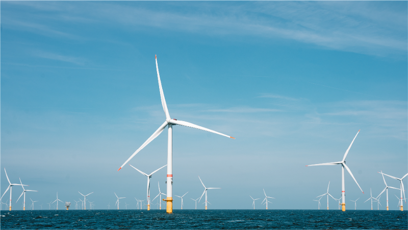 wind farm-1