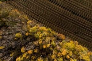 biodiversity crisis loss whitepaper by tara garraty